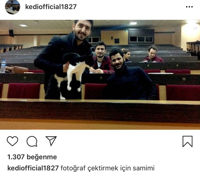 istanbul-universitesi-capa-tip-fakultesinin-fenomen-kedisi-sansli-maskot-haline-geldi