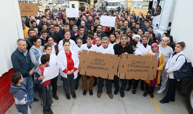 resmi-gazetede-yayinlandi-universite-mezunlari-36-saat-egitim-alanlar-o-meslegi-yapabiliyorlar