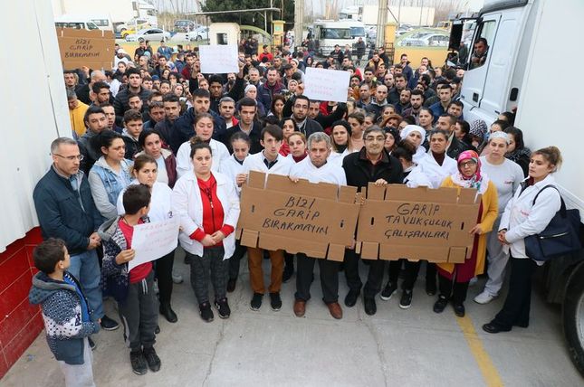 resmi-gazetede-yayinlandi-universite-mezunlari-36-saat-egitim-alanlar-o-meslegi-yapabiliyorlar