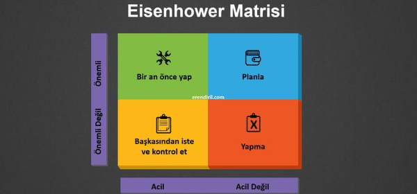 eisenhower matrisi-sosyal insan