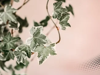 Rüyalar Gerçek Hayatımıza Mesaj mı Veriyor